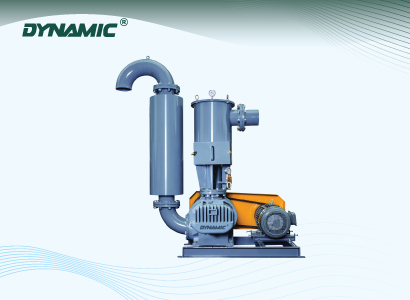 Vacuum Roots Blower
